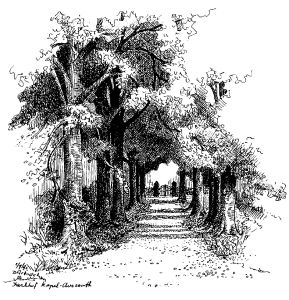 laantje naar begraafplaats